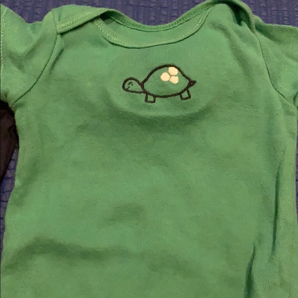 Turtle set - Picture 2 of 4